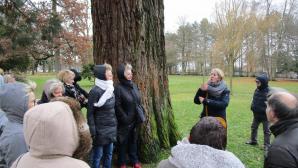 Au pied du sequoia