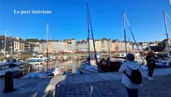 Honfleur 13 le bassin